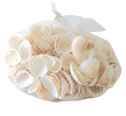 Bag of 3cm Scallop Shells 400G