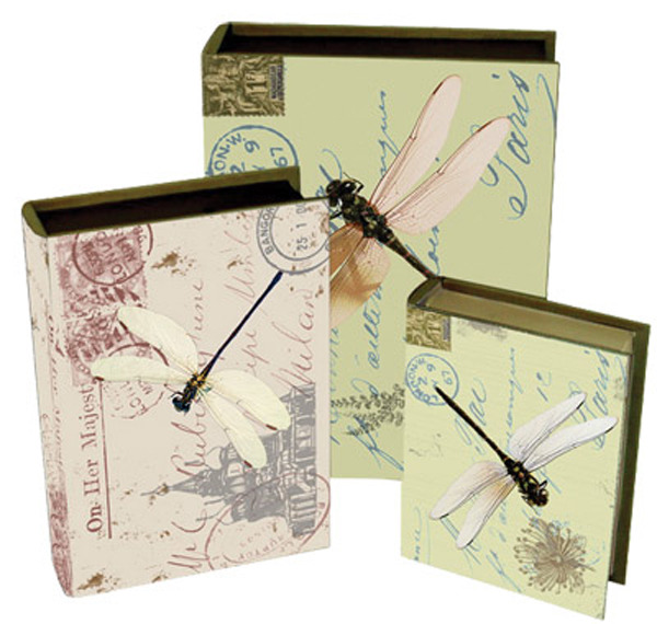 Book Box Canvas - Dragonflys  (Set of 3)