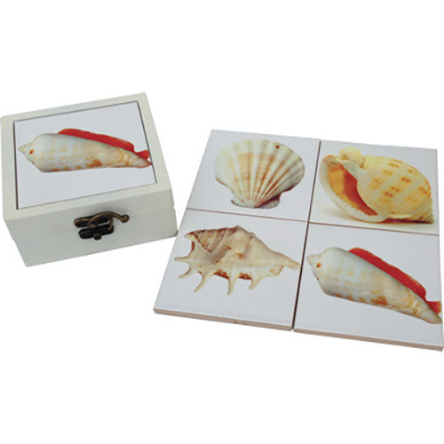 Boxed set of Ceramic Coasters 11cm - Shells