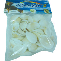 Shells 100G display pack Scallop Shells