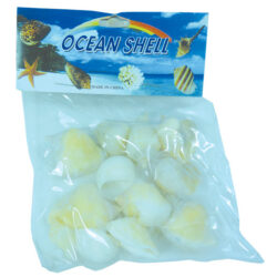 Shells 100G display pack Shells