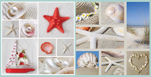 Canvas Print - Starfish & Shell Collage B (Set of 2)